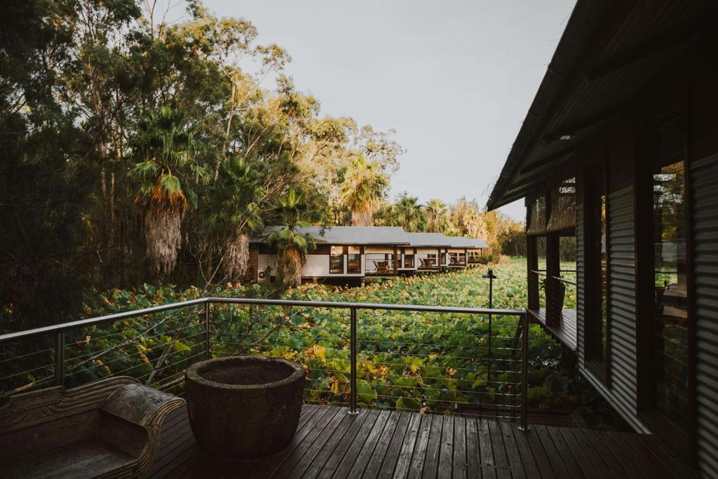 The Boathouses At Leaves & Fishes Lovedale Exterior photo