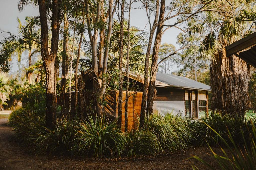 The Boathouses At Leaves & Fishes Lovedale Exterior photo